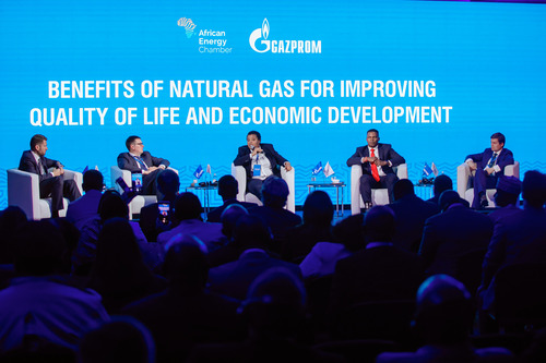 Участники международного круглого стола «Преимущества природного газа для населения и экономики»